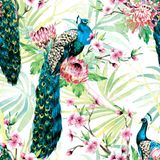 Decoupage Paper Napkins - Bird - Tropic Peacock

This decoupage paper napkin features a vibrant tropical design showcasing elegant peacocks perched amidst lush greenery and blooming flowers. The artwork incorporates intricate details with the rich blue-green hues of the peacocks&#39; feathers contrasting beautifully against soft pink blossoms and large, exotic protea flowers. The backdrop of lush green foliage adds to the overall tropical atmosphere, making this napkin ideal for artistic crafting or decorative use in tropical and nature-inspired themes.
