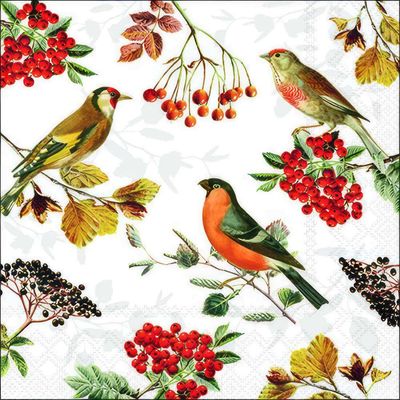 Decoupage Paper Napkins - Bird - Autumn Birds

This decoupage paper napkin features a vibrant design showcasing an assortment of colorful birds perched on branches adorned with red and black berries, surrounded by autumnal leaves. The elegant composition, set against a crisp white background, evokes a charming, nature-inspired aesthetic ideal for crafts, decorations, or special occasions.
