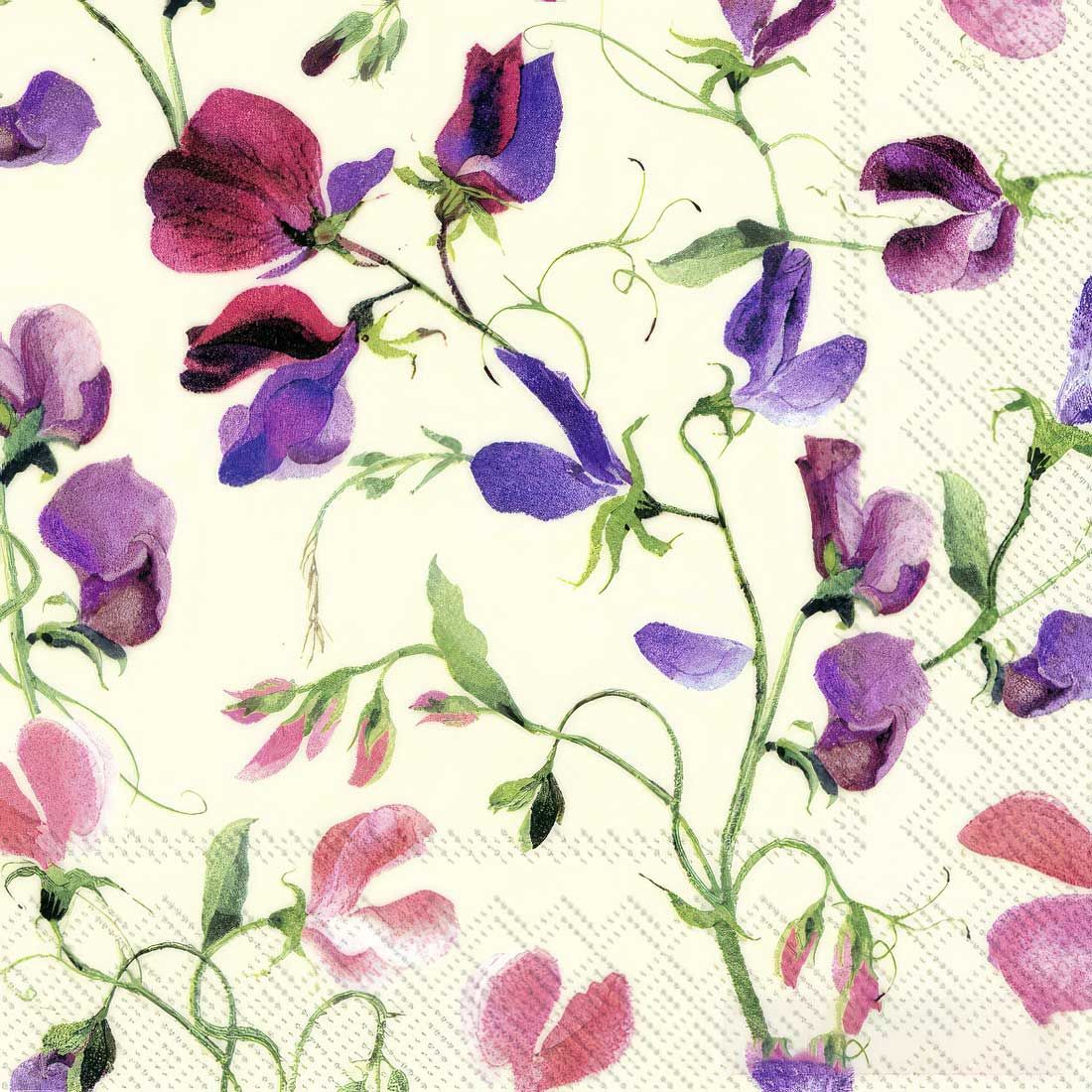 Decoupage Paper Napkins - Floral - Sweet Pea Cream

A delicate floral design featuring sweet pea blossoms in shades of purple, pink, and magenta intertwined with lush green stems and tendrils. Set against a soft, pale background, this napkin exudes a graceful and airy charm, making it ideal for spring or garden-themed crafting and decor projects. Perfect for adding a touch of romantic elegance to your creations.

