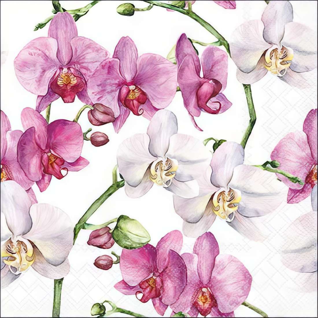 Decoupage Paper Napkins - Floral - Elegant Orchids White

This beautifully designed decoupage napkin features a stunning arrangement of delicate orchids in shades of pink and white, gracefully intertwined with lush green stems. The watercolor-style detailing adds an artistic and sophisticated touch, making it perfect for crafting and DIY projects. Ideal for floral-themed decoupage, scrapbooking, and decorative applications, this napkin brings a fresh and elegant charm to any creative endeavor.
