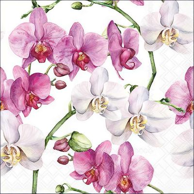 Decoupage Paper Napkins - Floral - Elegant Orchids White

This beautifully designed decoupage napkin features a stunning arrangement of delicate orchids in shades of pink and white, gracefully intertwined with lush green stems. The watercolor-style detailing adds an artistic and sophisticated touch, making it perfect for crafting and DIY projects. Ideal for floral-themed decoupage, scrapbooking, and decorative applications, this napkin brings a fresh and elegant charm to any creative endeavor.
