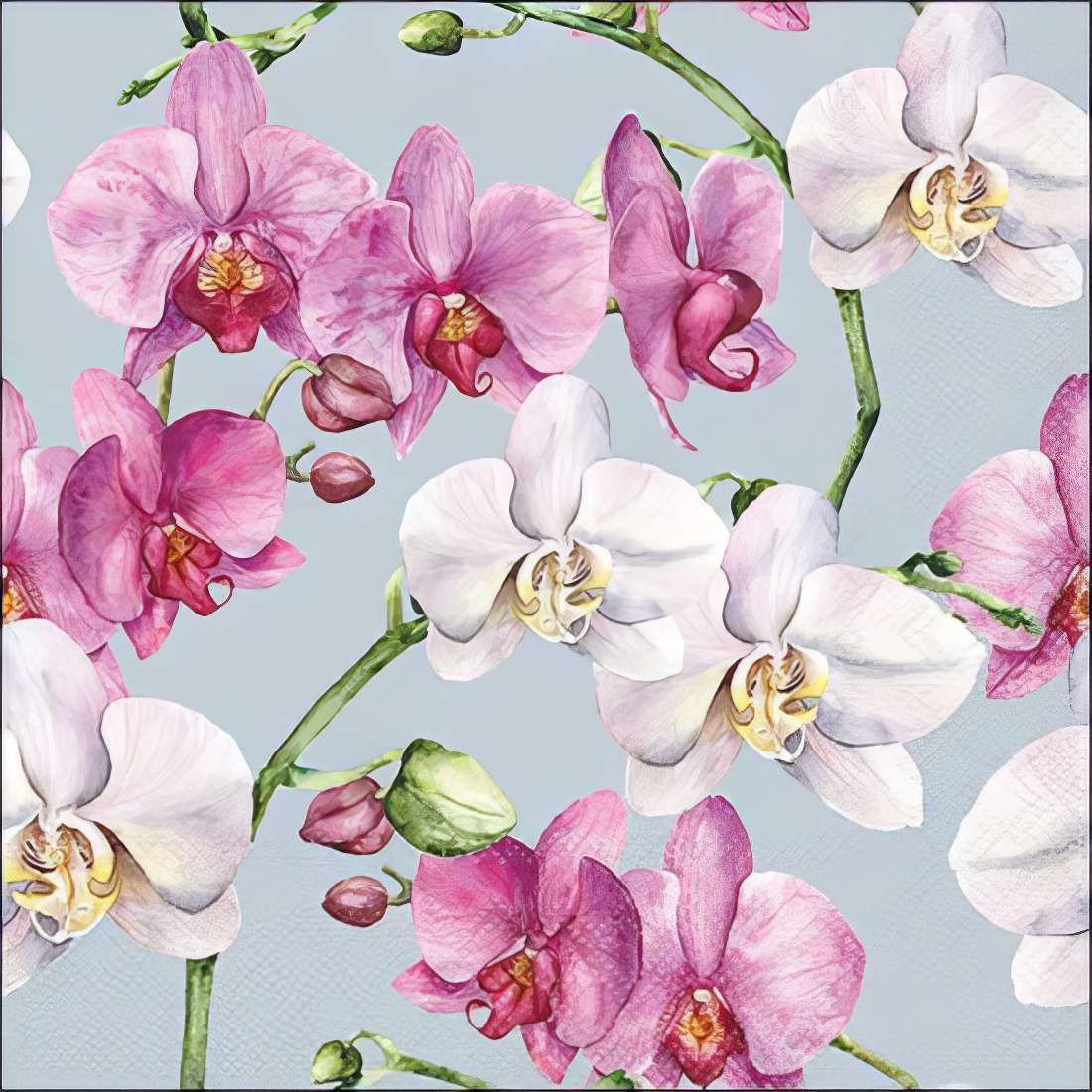 Decoupage Paper Napkins - Floral - Elegant Orchids Blue

This exquisite decoupage paper napkin showcases a stunning botanical design featuring delicate Phalaenopsis orchids in shades of soft white and rich pink, set against a serene blue-gray background. The intricate watercolor-style illustration captures the natural elegance and exotic beauty of these timeless flowers. Ideal for crafting and scrapbooking, this napkin brings a sophisticated floral touch to any creative project.