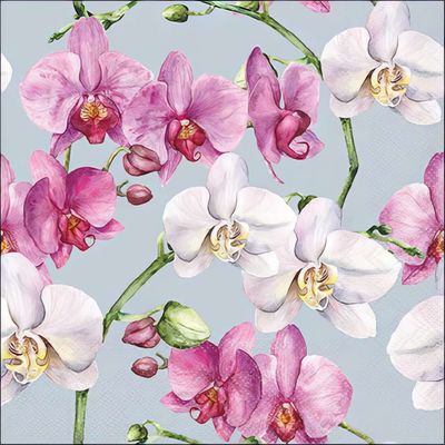 Decoupage Paper Napkins - Floral - Elegant Orchids Blue

This exquisite decoupage paper napkin showcases a stunning botanical design featuring delicate Phalaenopsis orchids in shades of soft white and rich pink, set against a serene blue-gray background. The intricate watercolor-style illustration captures the natural elegance and exotic beauty of these timeless flowers. Ideal for crafting and scrapbooking, this napkin brings a sophisticated floral touch to any creative project.
