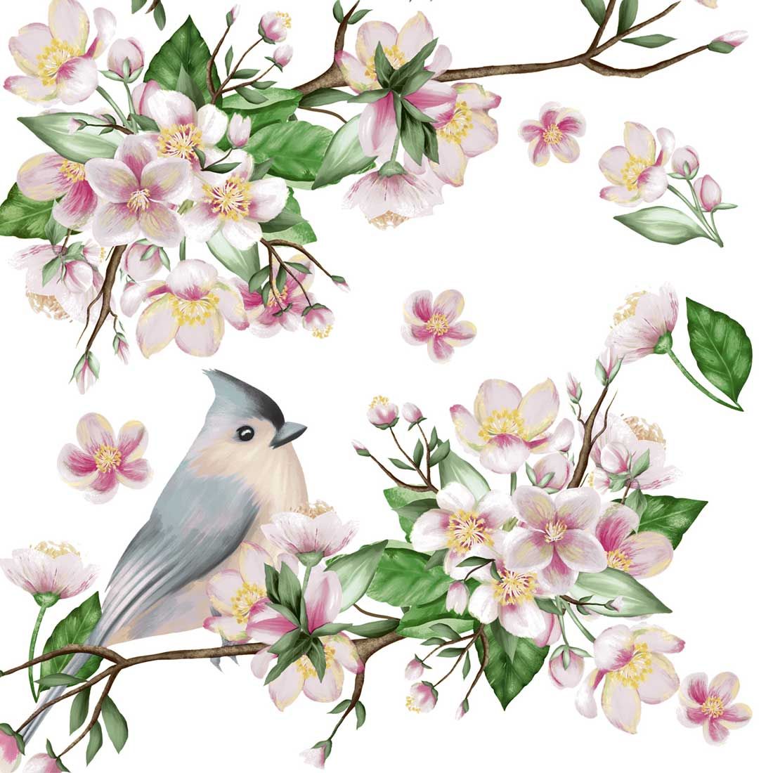 Decoupage Paper Napkins - Bird - Bird Lyrics

Bring a touch of springtime elegance to your crafts with these beautifully designed decoupage paper napkins. Featuring a charming tufted titmouse perched amidst delicate cherry blossom branches, this artwork blends soft pastel tones of pink, white, and green for a serene and natural aesthetic. Ideal for decoupage, scrapbooking or mixed media projects, these napkins add a graceful, vintage-inspired flair to any creation.