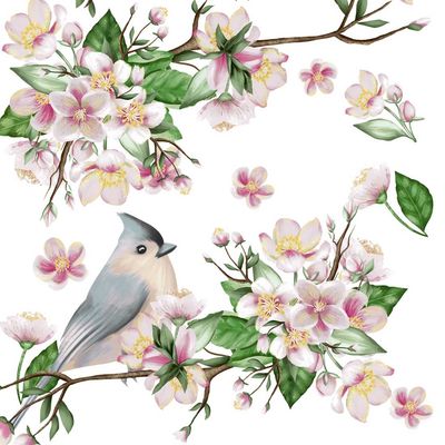 Decoupage Paper Napkins - Bird - Bird Lyrics

Bring a touch of springtime elegance to your crafts with these beautifully designed decoupage paper napkins. Featuring a charming tufted titmouse perched amidst delicate cherry blossom branches, this artwork blends soft pastel tones of pink, white, and green for a serene and natural aesthetic. Ideal for decoupage, scrapbooking or mixed media projects, these napkins add a graceful, vintage-inspired flair to any creation.