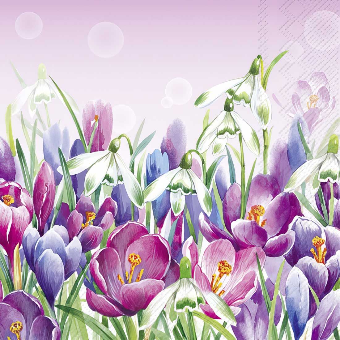Decoupage Paper Napkins - Floral - Crocus Light Rose

This beautifully illustrated decoupage napkin features a vibrant, watercolor-inspired springtime design showcasing delicate snowdrops and blooming crocuses in shades of violet, lavender, rose, and soft blue. The soft gradient background in pastel pink enhances the dreamy garden scene, while subtle bubble-like accents add a touch of whimsy. Perfect for seasonal crafts, Easter decor, or floral-themed projects, this napkin brings a fresh and elegant botanical charm to any creation.

