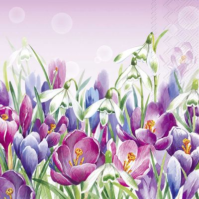Decoupage Paper Napkins - Floral - Crocus Light Rose

This beautifully illustrated decoupage napkin features a vibrant, watercolor-inspired springtime design showcasing delicate snowdrops and blooming crocuses in shades of violet, lavender, rose, and soft blue. The soft gradient background in pastel pink enhances the dreamy garden scene, while subtle bubble-like accents add a touch of whimsy. Perfect for seasonal crafts, Easter decor, or floral-themed projects, this napkin brings a fresh and elegant botanical charm to any creation.

