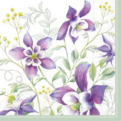 Decoupage Paper Napkins - Floral - Lilac Summertime Green

Add a touch of timeless charm to your crafts with this beautifully illustrated decoupage paper napkin. Featuring delicate purple columbine flowers in full bloom, accented with soft green foliage and sprigs of yellow buds, this design evokes a serene garden feel. The watercolor-style artwork set against a crisp white background offers both sophistication and versatility, making it perfect for decorating trays, boxes, candles, journals, and more. Ideal for spring-themed projects and floral enthusiasts.
