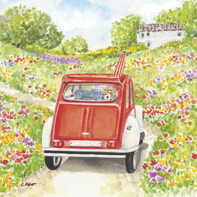 Decoupage Paper Napkins - Outdoor/Scenic - Bon Voyage!