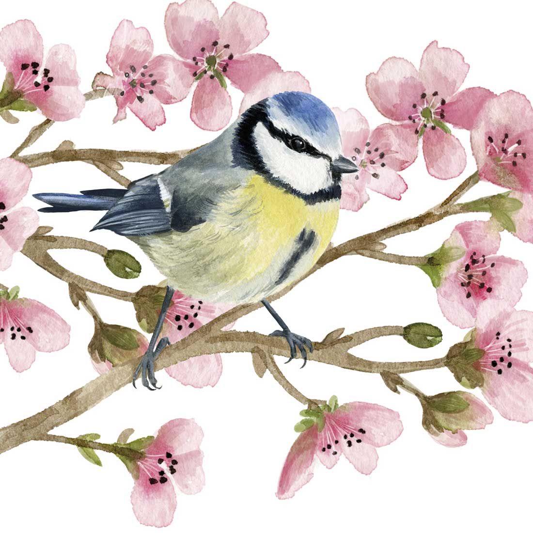 Decoupage Paper Napkins - Bird - Oiseau Printemps (1 Sheet)
