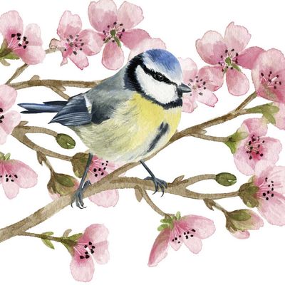 Decoupage Paper Napkins - Bird - Oiseau Printemps (1 Sheet)