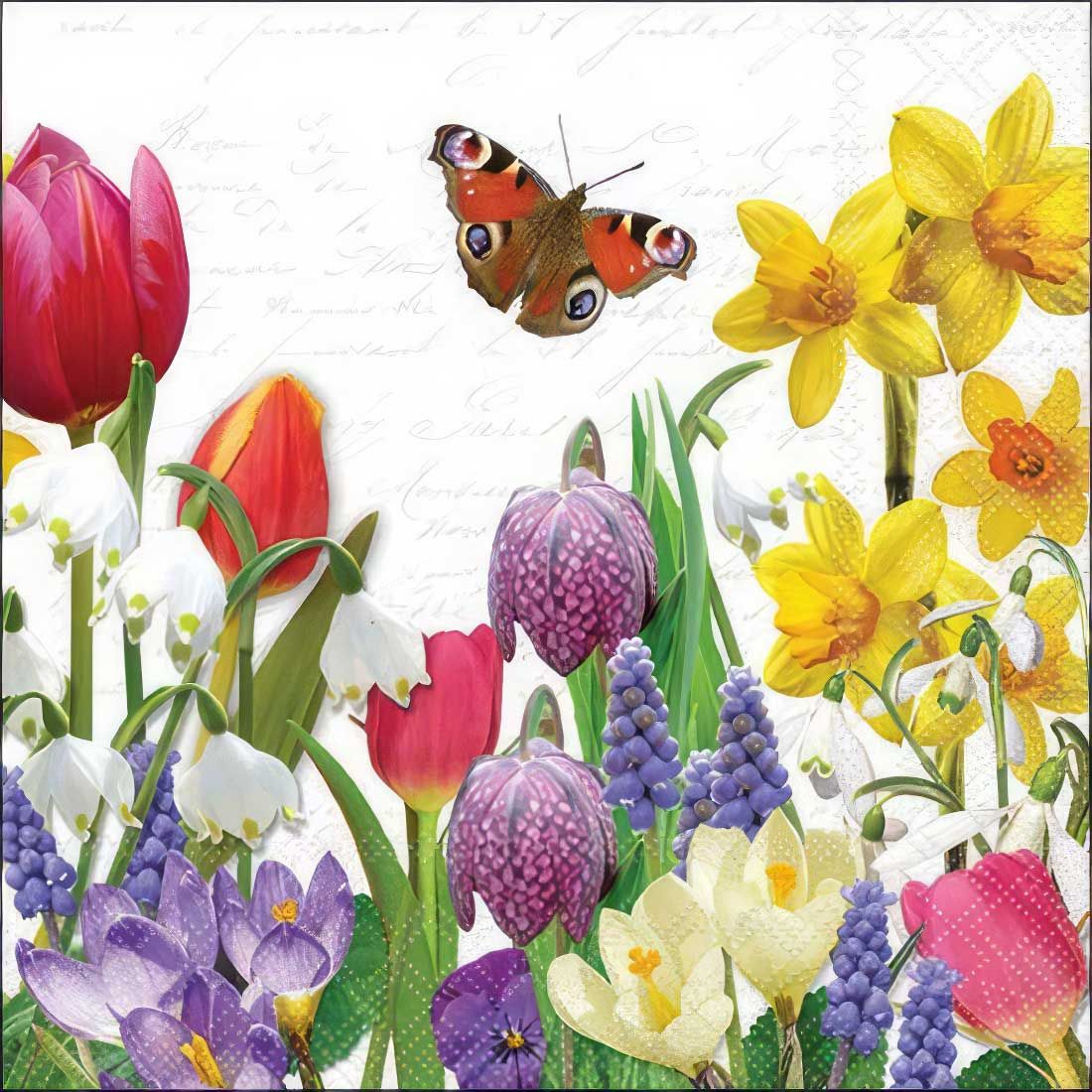 Decoupage Paper Napkins - Floral - Spring Feeling (1 Sheet)