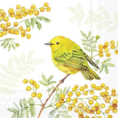 Decoupage Paper Napkins - Bird - Joy Of Spring (1 Sheet)