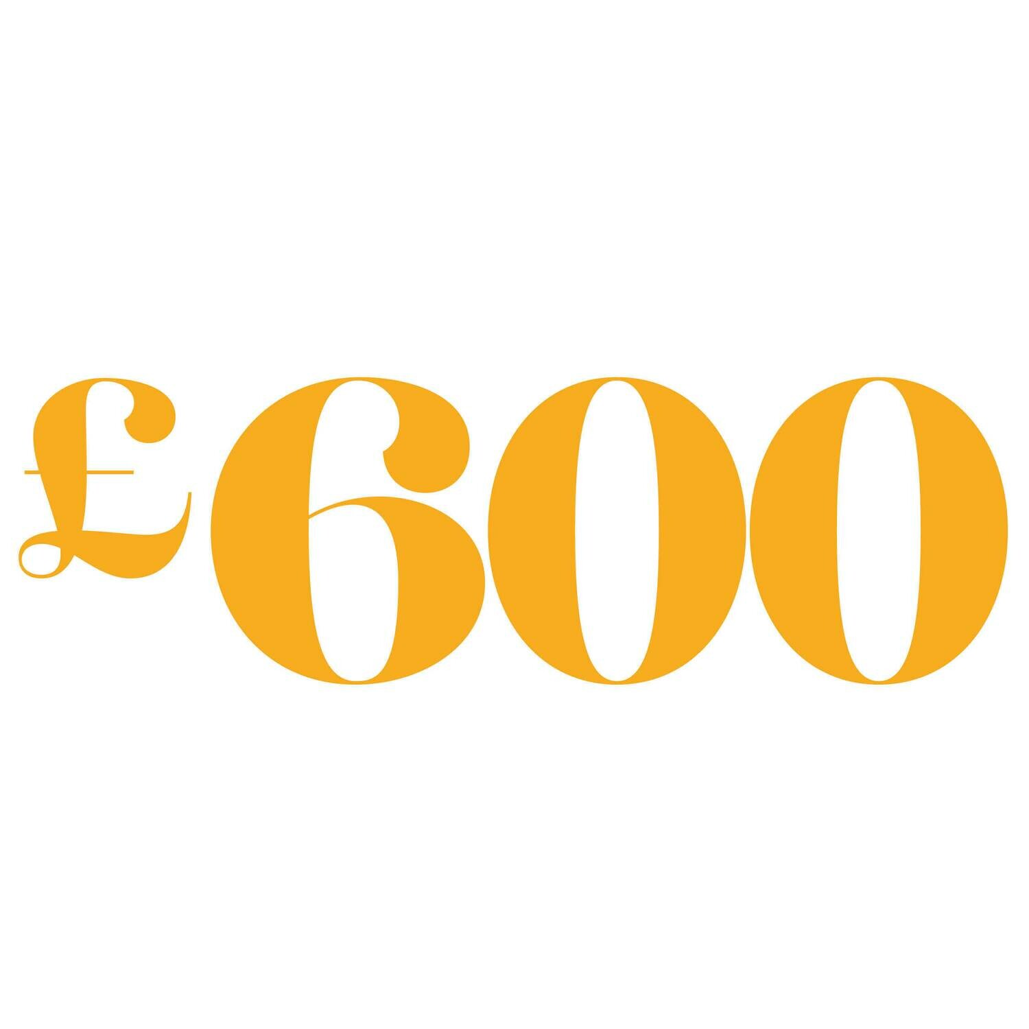 £600 KatieNicePortraits Gift Voucher