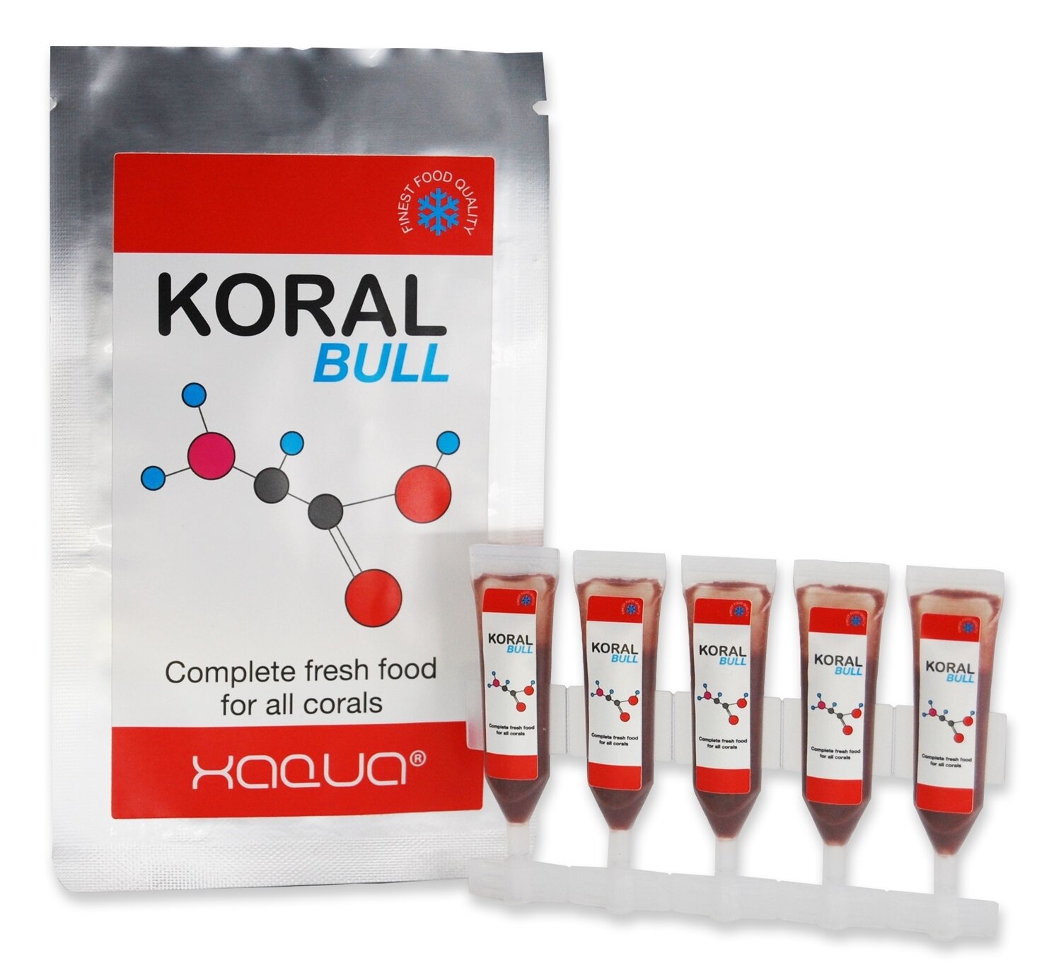 KORAL BULL