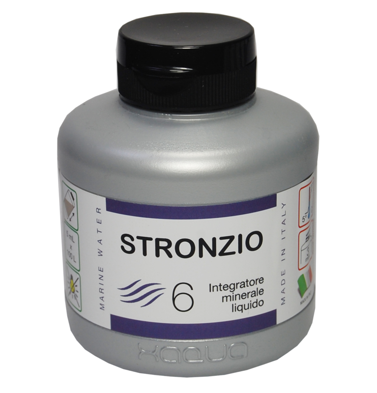 STRONZIO