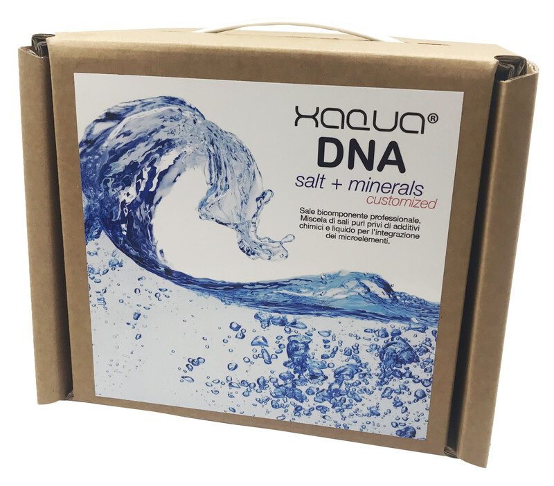 DNA Salt + Minerals