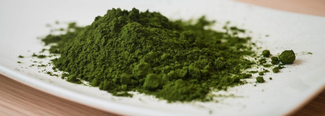 Phytoplankton - CHLORELLA Bio-Pure