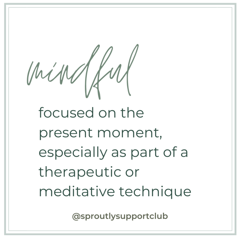 Virtual Mindfulness Session (45 MIN)