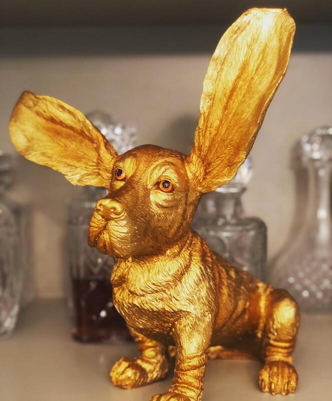 Gold Surprised Basset Hound