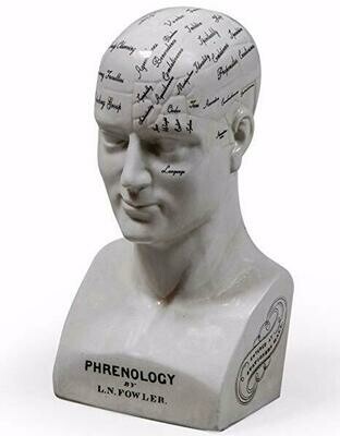 Large Antique Phrenology Head