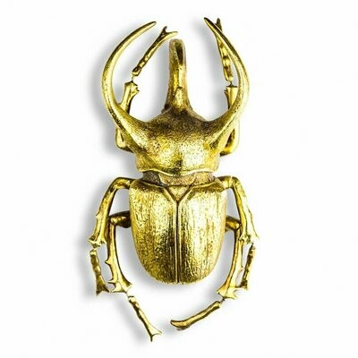 Extra Large Gold Beetle