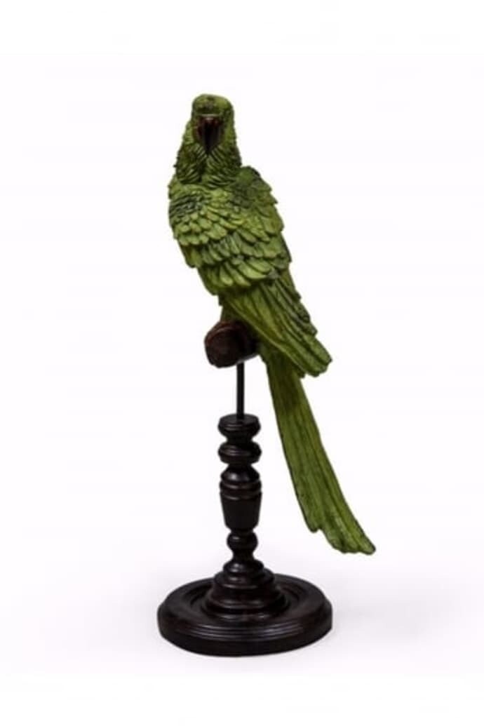 Parrot on a Perch