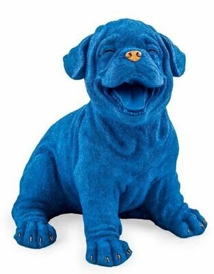 Royal Blue Gold Details Laughing Puppy