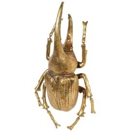 Large Gold Beetle