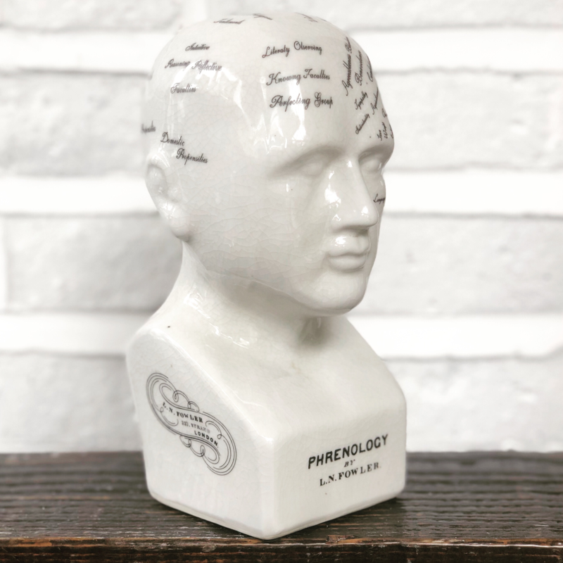 Small Antique Phrenology Head