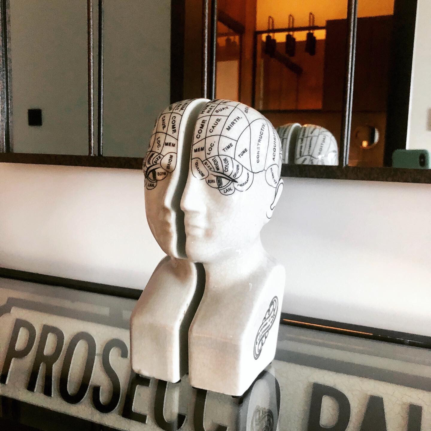 Small Antique Phrenology Head Bookends