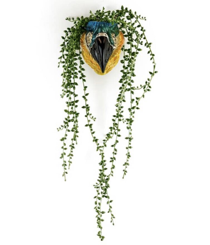 Parrot Ceramic Small Wall Sconce Vase