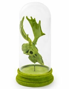 Green Flocked Antelope Skull In Glass Dome