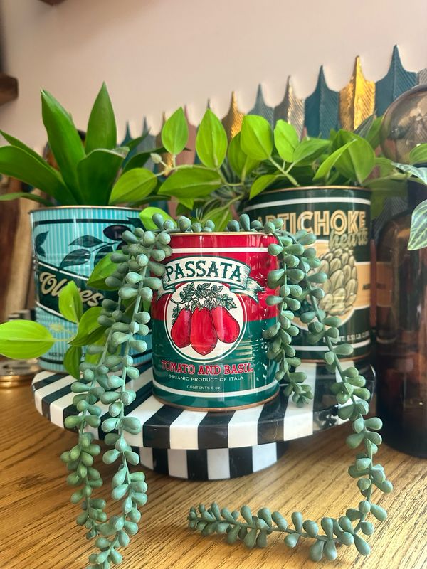 Artichoke, Olives & Passata Storage Tons Set Of 3