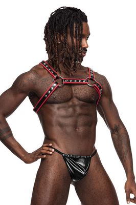 Harness