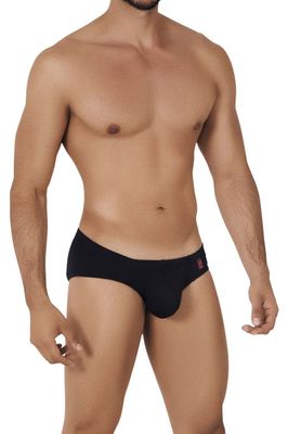Briefs