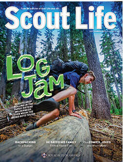 Scout Life Subscription