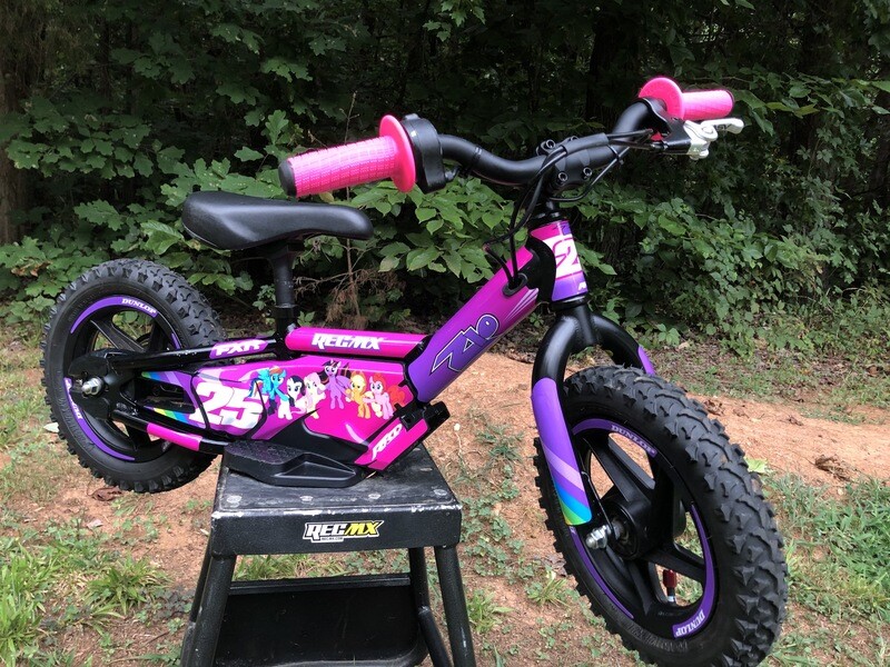 STACYC 12&quot; and 16&quot; EDrive &amp; Brushless EDRIVE  Full Custom Kit