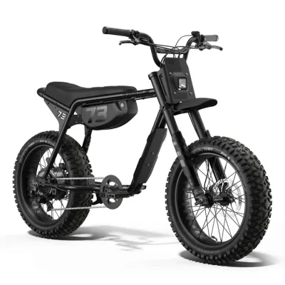 Super 73