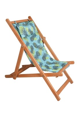 Male- Beach Chair