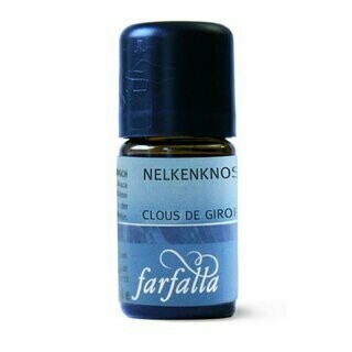 Nelkenknospe bio