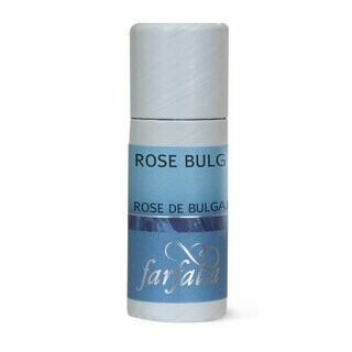 Rose Bulgarien Selektion.