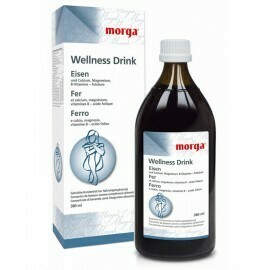 Eisen Wellness-Drink 4 x 380 ml