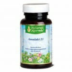 Amalaki 21  (100 Tabs)
