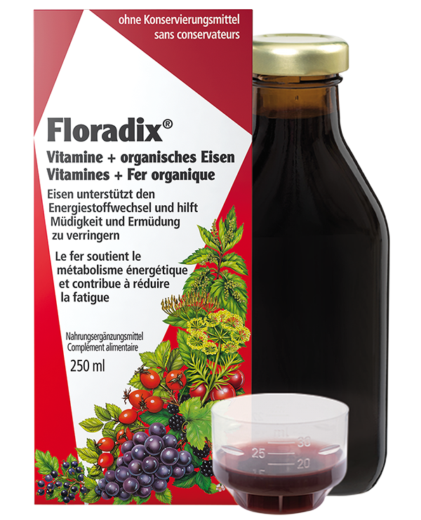 Floradix Vitamine + organisches Eisen 250 ml Dr Dünner