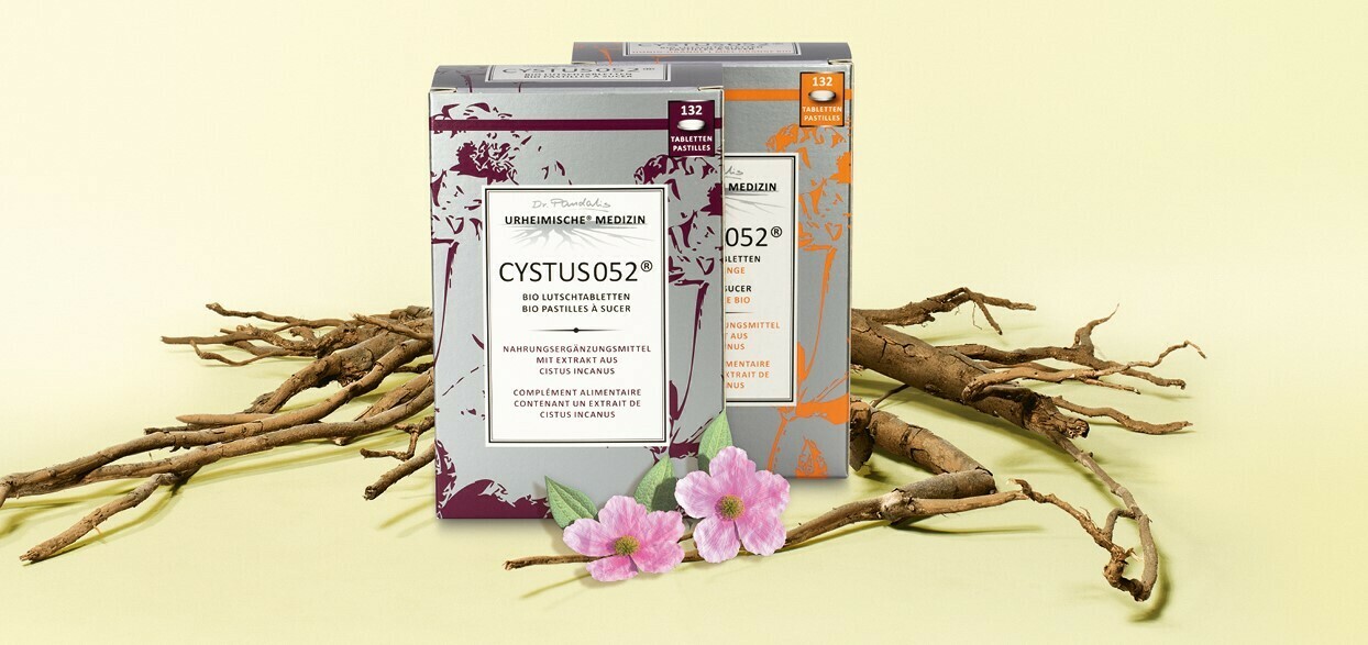Cystus Pandalis Lutschtabletten | 132 St | PZN
