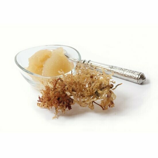 Irish Moss Naturkostbar 30g