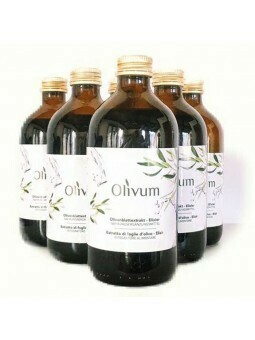 OLIVUM Elixier  6 Flaschen x 500ml