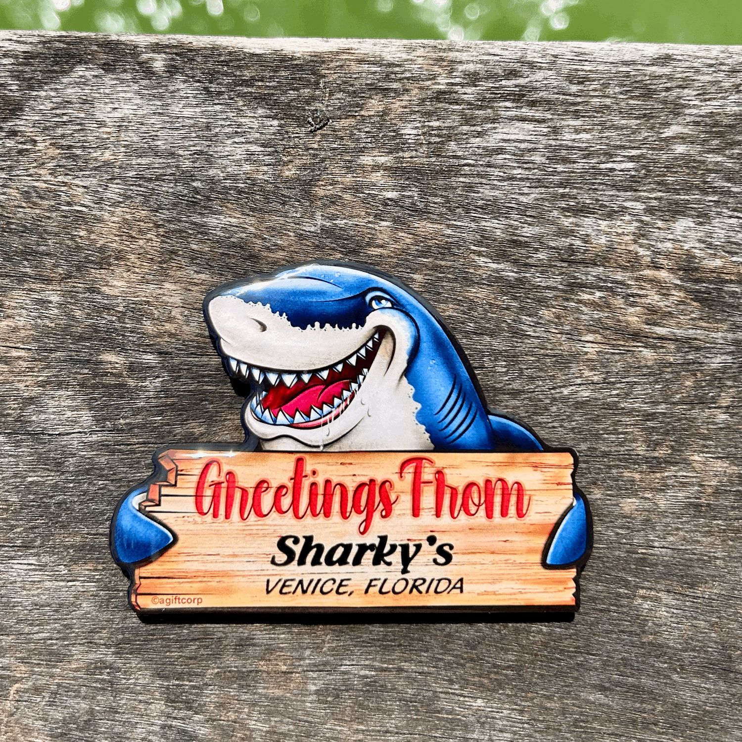 Greetings Magnet