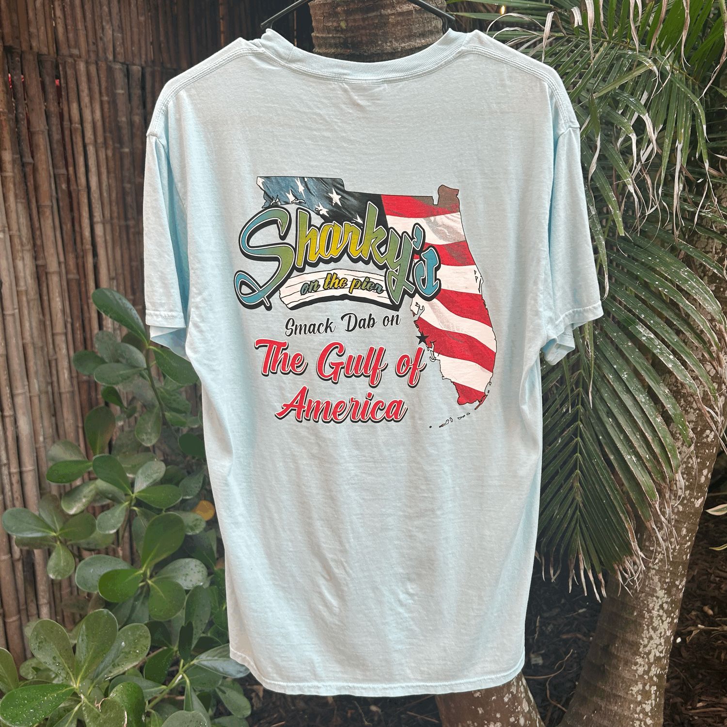 Gulf of America T